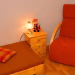 Pensión Rodinné Alpinka 3*