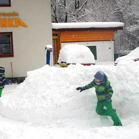Rodinne Apartmany Alpinka