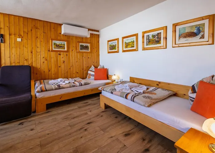 Rodinne Alpinka Гостевой дом Ошчадница